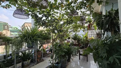 alleyhome Trần Đại Nghĩa – Fotos 7